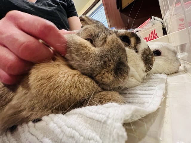Stu, Lu and Oly