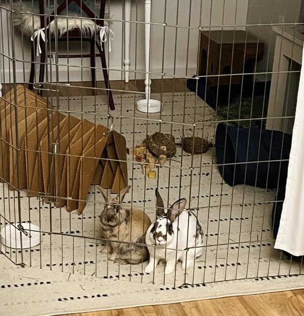 Lu & Stu's "Starter Home"