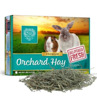 Premium Orchard Hay