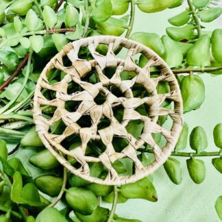 Mini Palm Wheel