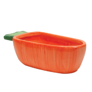 Vege-T-Bowl - Carrot