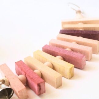 Ladder of Flavors Balsa Toy