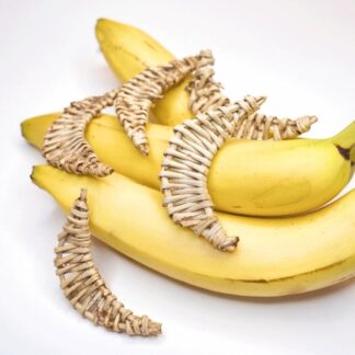 Nuthin’ But Naners Vine Bananas