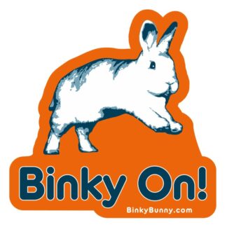 Binky On Sticker