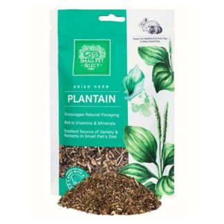 Plantain Foraging Treat