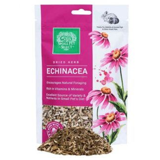 Echinacea Foraging Treat