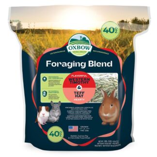 Foraging Blend - Western Timothy & Teff Hay